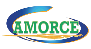 l_Logo_Amorce_HD_4